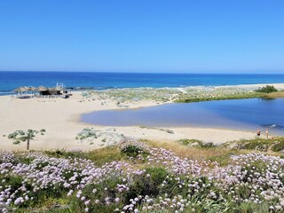 Appartamento per vacanze Badesi Ambiente 26