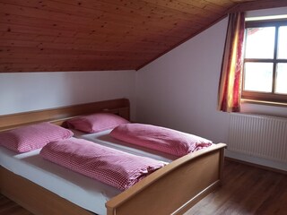 Appartamento per vacanze Nußdorf am Attersee Caratteristiche 15