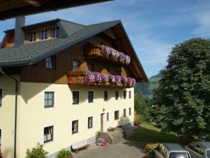 Appartamento per vacanze Danter 2 - Nußdorf am Attersee - image1