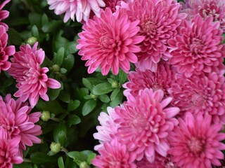 Appartamento per vacanze Nußdorf am Attersee Registrazione all'aperto 10