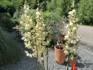 Ferienwohnung Teichblick im Haus am Teich