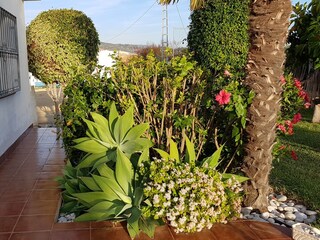 Holiday house Algarrobo Environment 5