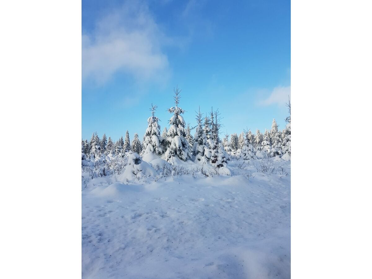 Winter um Frauenwald