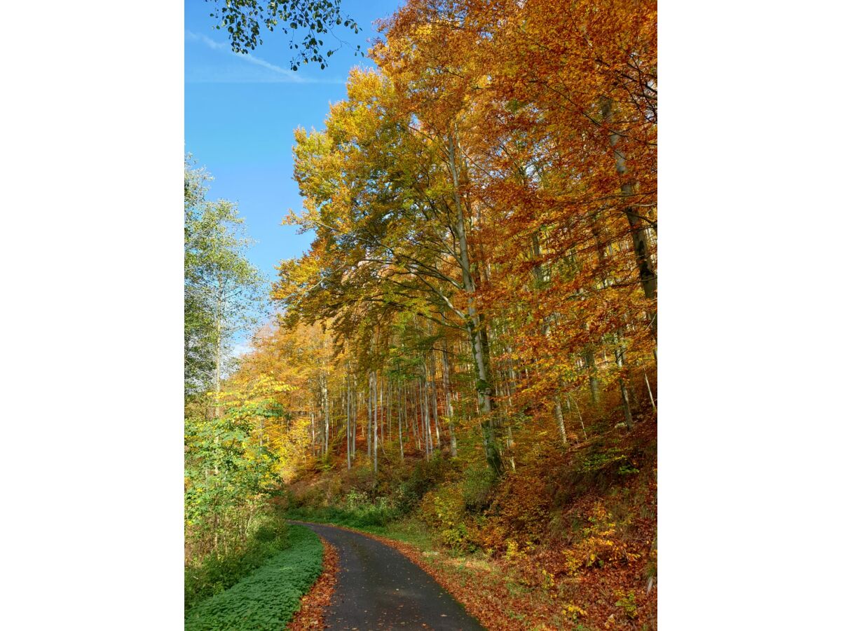 Radfahren und Wandern am Rennsteig