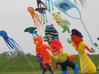 Drachenfest in Tossens