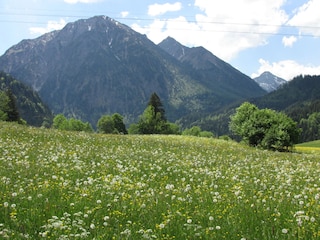 Breitenberg, Rotspitze und Entschenkopf
