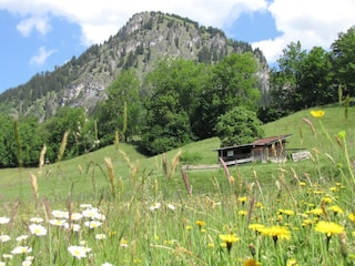 Hirschberg