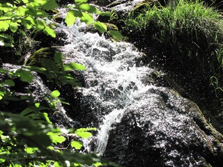 Im Wildbach Tobel