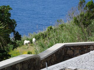Blick von der Terrasse auf den Atlantik