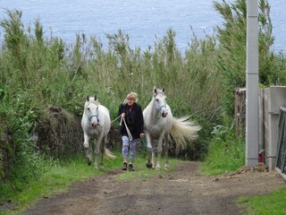 Auch reiten kann man hier