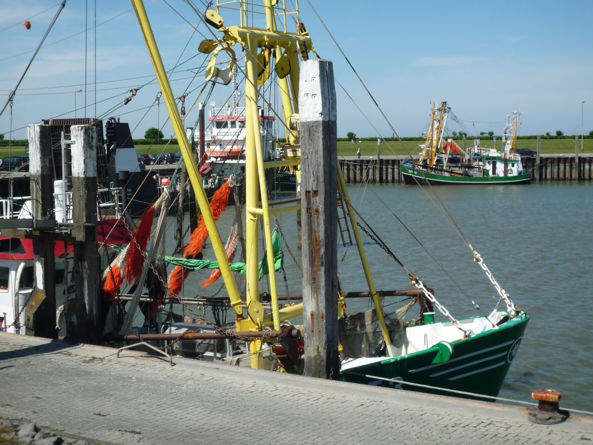 Kutter im Hafen Norddeich Mole