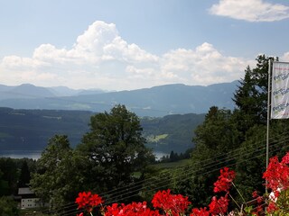 Appartamento per vacanze Millstatt Registrazione all'aperto 5