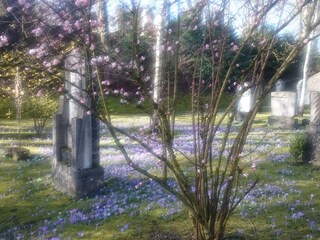 der historische parkartige Friedhof