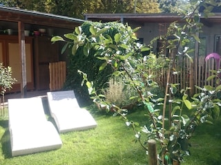 der Garten, links durch die moderne Mauer begrenzt