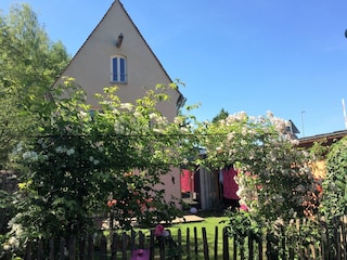 Haus mit modernem Anbau rechts und Garten