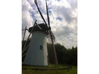 Casa per le vacanze Scharendijke Ambiente 19