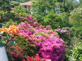 Casa per le vacanze Porto Valtravaglia Registrazione all'aperto 9