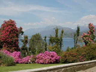 Casa per le vacanze Porto Valtravaglia Ambiente 34