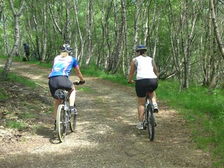 Casa per le vacanze Porto Valtravaglia Ambiente 35