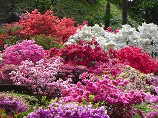 Casa per le vacanze Porto Valtravaglia Ambiente 32