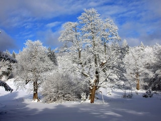 Wintertraum: Sonne, Eis und Schnee