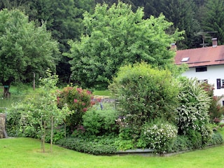 Im Garten