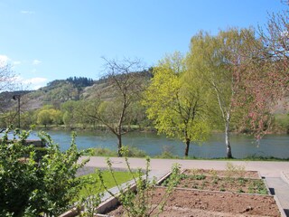 Terrassenblick auf die Mosel und den Radweg