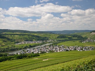 Detzem im Moseltal, umgeben von unserer Weinlandschaft