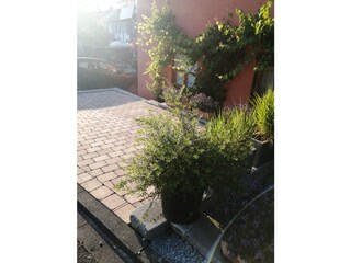 Ferienwohnung Meersburg Außenaufnahme 15