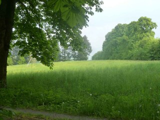 eigener Kastanienhain
