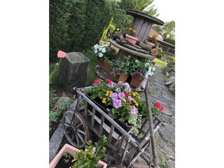 Appartamento per vacanze Rathmannsdorf Registrazione all'aperto 6