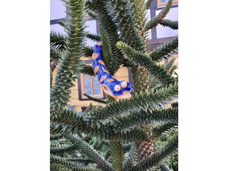 Appartamento per vacanze Rathmannsdorf Registrazione all'aperto 9