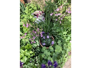 Appartamento per vacanze Rathmannsdorf Registrazione all'aperto 13