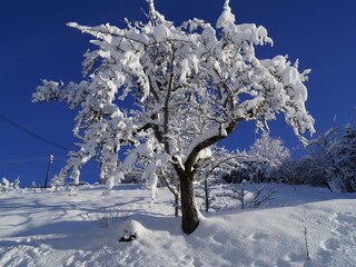 Ein toller Wintertag in Wambach
