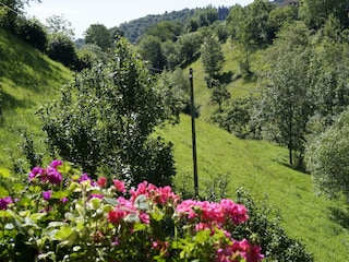 Blick vom Balkon