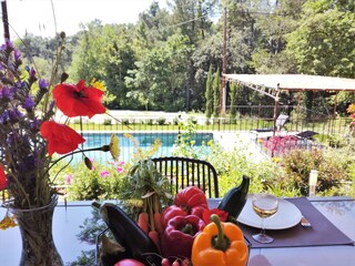 Vakantiehuis Pont-Saint-Esprit Buitenaudio-opname 7