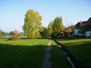 Holiday apartment Bad Bayersoien Environment 9