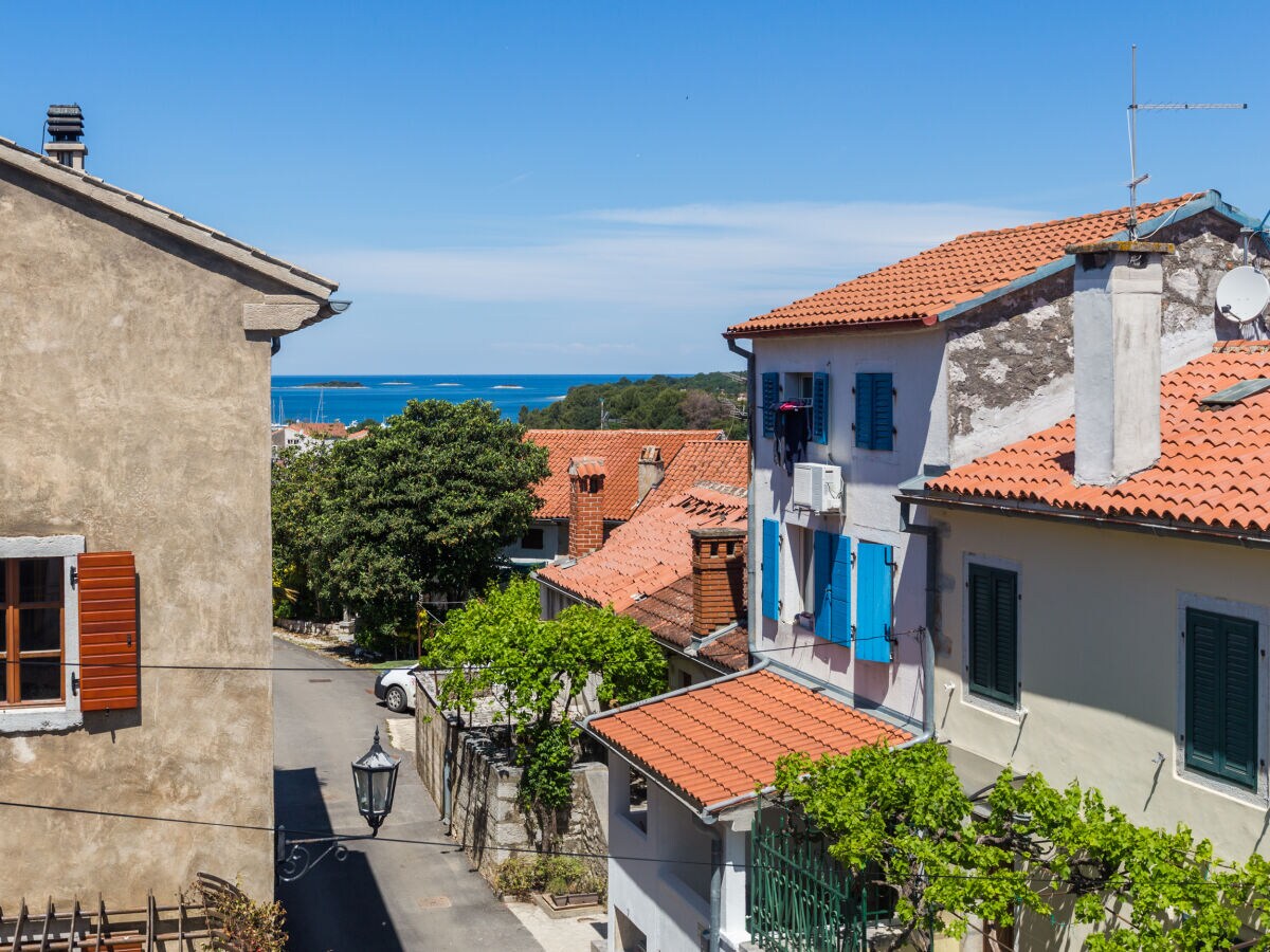 Terrace and Seaview