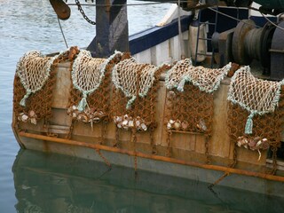 Appartamento per vacanze Sainte-Honorine-des-Pertes Ambiente 23