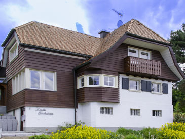 Ferienhaus Frohsinn am Feldberg