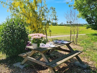 Ruhebank im Obstgarten