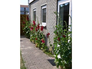 Apartamento de vacaciones Callantsoog Grabación al aire libre 2