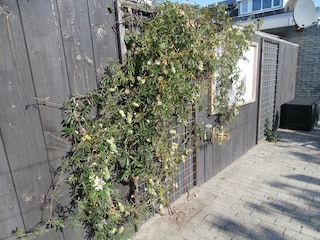 Vakantieappartement Callantsoog Buitenaudio-opname 12