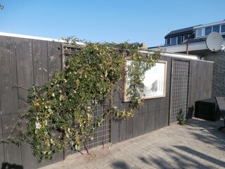 Vakantieappartement Callantsoog Buitenaudio-opname 14