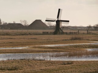 Appartamento per vacanze Callantsoog Ambiente 19