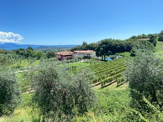 Apartamento de vacaciones Puegnago sul Garda Grabación al aire libre 8