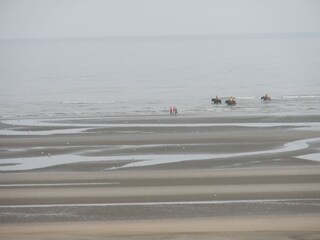 Shrimp fisherman-on the Unesco heritage list