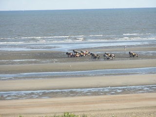 Ferienwohnung Oostduinkerke Umgebung 23
