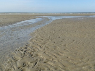 Ferienwohnung Oostduinkerke Außenaufnahme 7