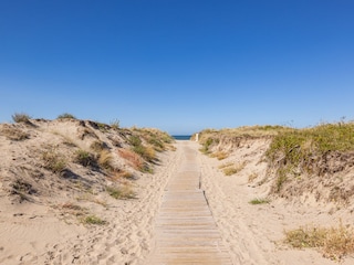 Sofort in den Dünen